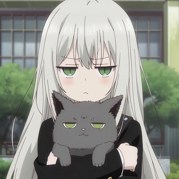 Animeidhen: Bridging Cultures Through Storytelling