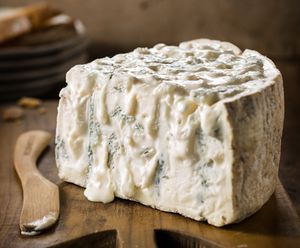 A Comprehensive Guide to Understanding masgonzola