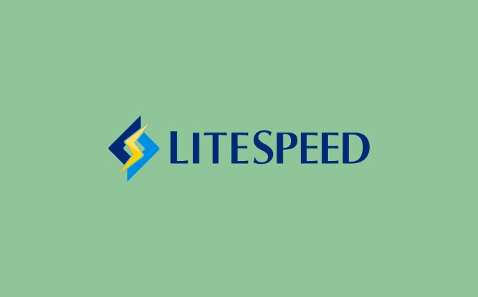 LiteSpeed Hosting
