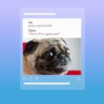 How to Create Your Own Meme with Adobe Express Like a Pro