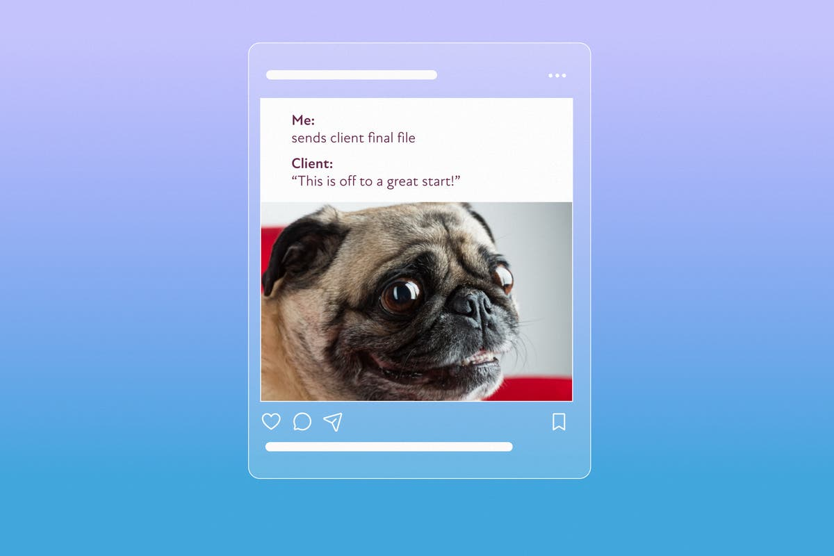 How to Create Your Own Meme with Adobe Express Like a Pro