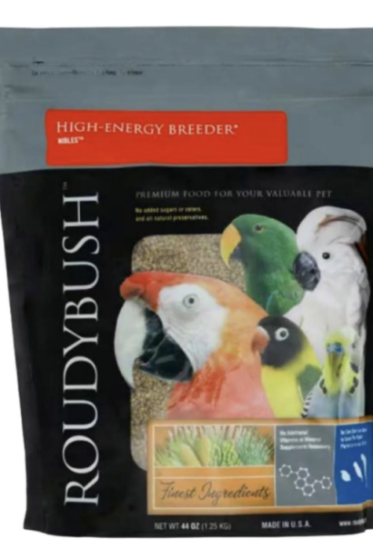 A Practical Guide to Everyday Parrot Nutrition