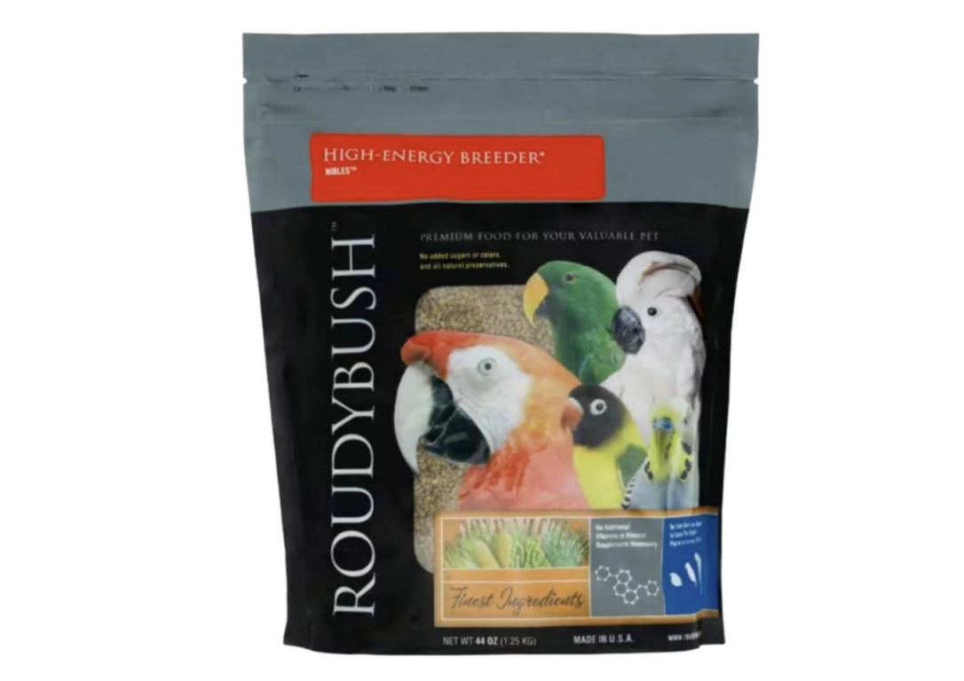 A Practical Guide to Everyday Parrot Nutrition