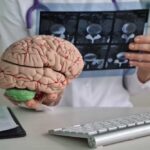 How Alcohol Affects the Brain and Body Over Time