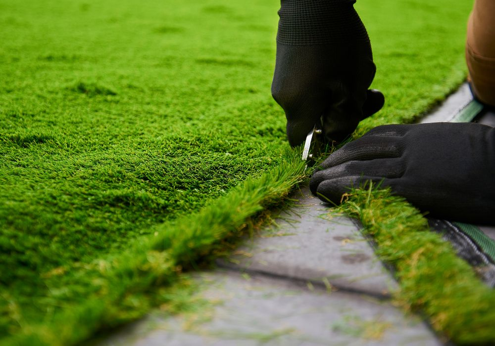 Artificial Grass Installation: What You Need to Know
