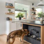 pet-friendly design