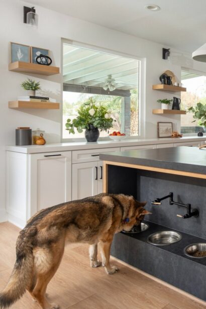 pet-friendly design