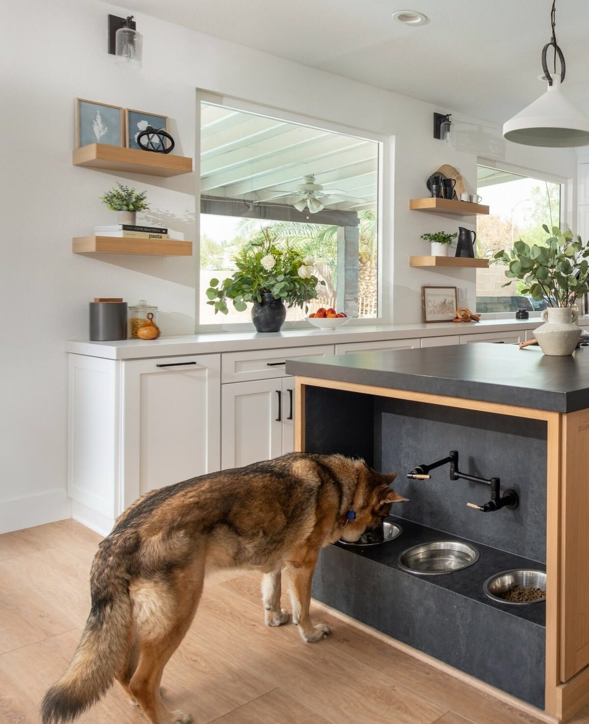 pet-friendly design
