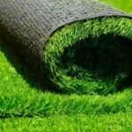 Why Regionally Sourced Turf Has Become the Go-To for Lawn Installs