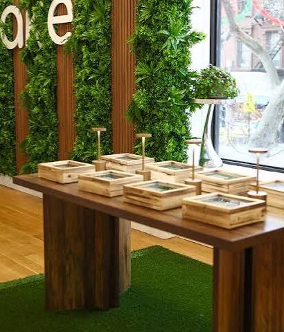 Park Slope Dispensary Guide: Buying Legal Cannabis in Brooklyn