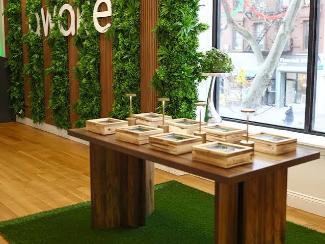 Park Slope Dispensary Guide: Buying Legal Cannabis in Brooklyn