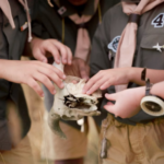 How to Choose an Educational Field Trip That Supports Classroom Learning