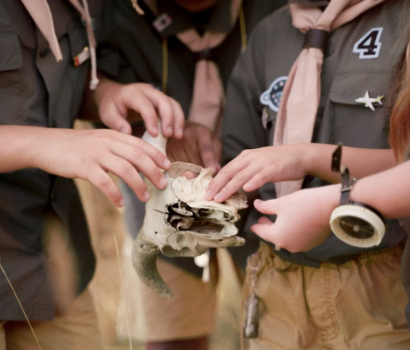 How to Choose an Educational Field Trip That Supports Classroom Learning