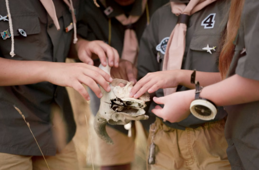How to Choose an Educational Field Trip That Supports Classroom Learning