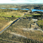 Portugal's Low-Density Regions: Residency and Lifestyle Opportunities
