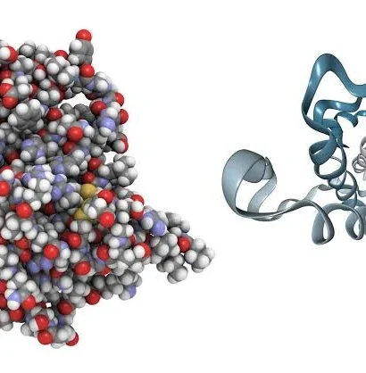 Understanding HGH and HCG: Two Hormones With Different Roles in the Human Body